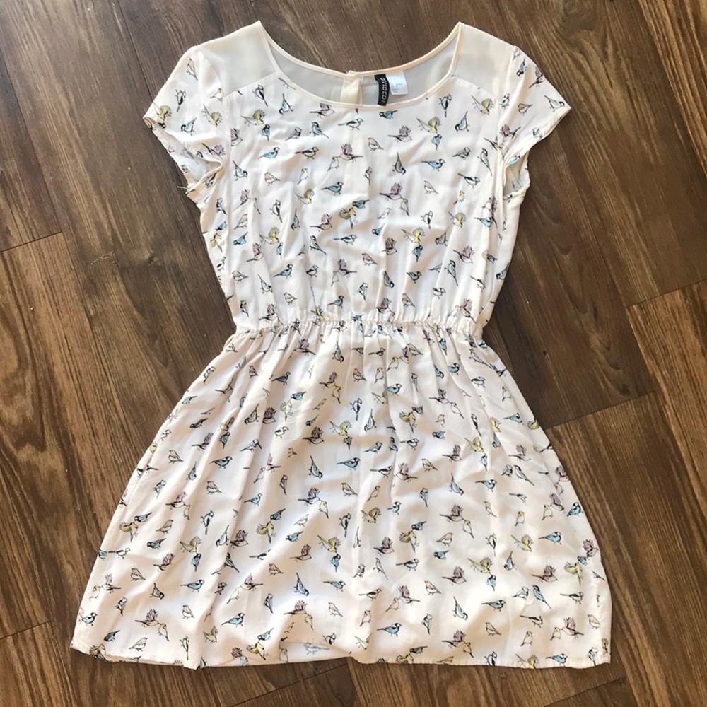 Cream dress with bird pattern and mesh back panel